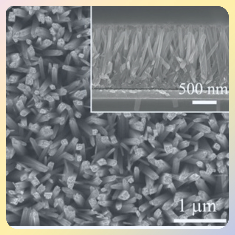 FTO基底负载二氧化钛纳米杆阵列