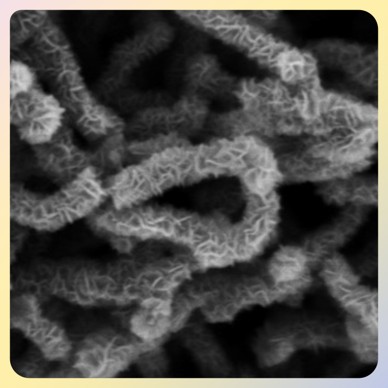 碳布负载碳纳米管-二氧化锰复合薄膜