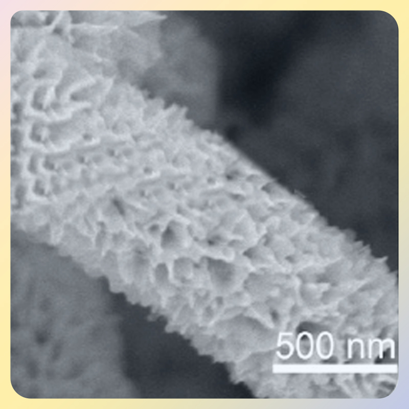 碳化钛碳-硫化锡核壳阵列