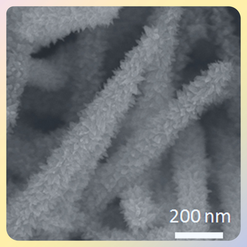 碳化钛-碳-三氧化二铁核壳阵列