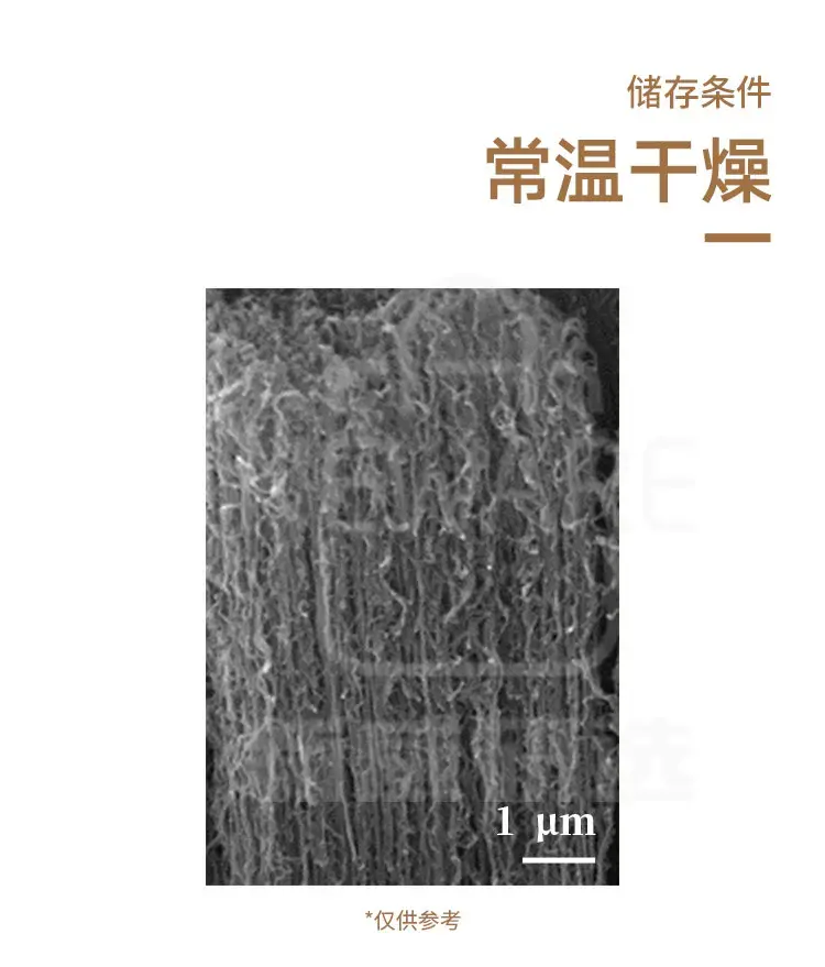 不锈钢片负载垂直碳纳米管阵列2*3商品介绍4