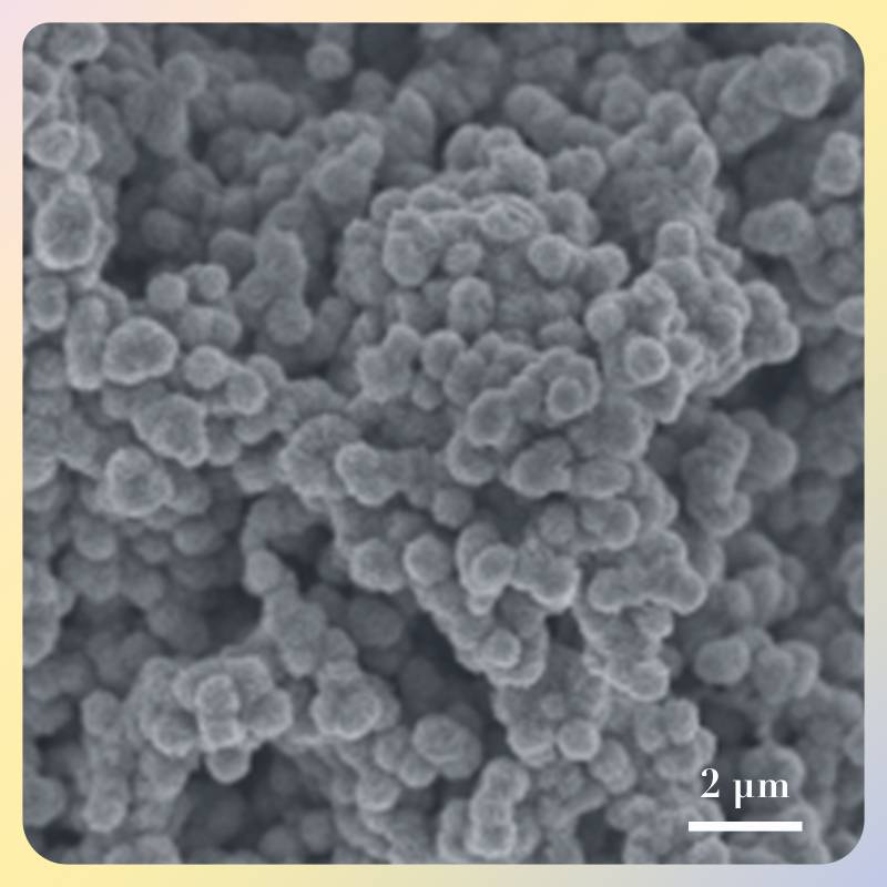 二硫化钼（MoS2）纳米片(粉体）