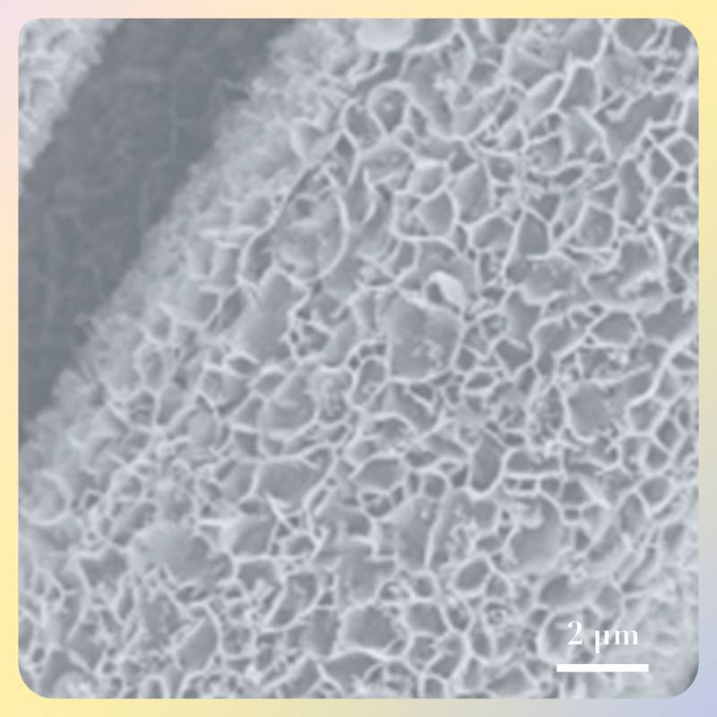 碳布负载氧化镁纳米片阵列