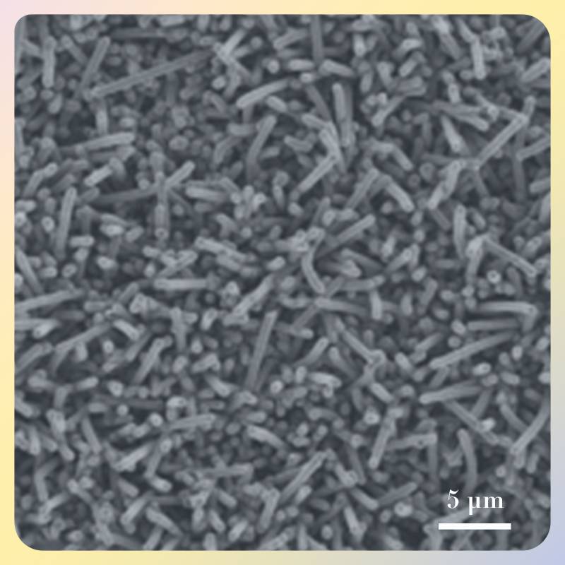 碳化钛/碳/氮掺杂硫化镍核壳阵列