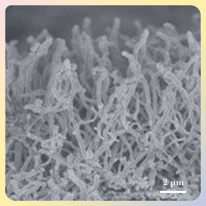 泡沫铜负载氧化铜纳米线阵列