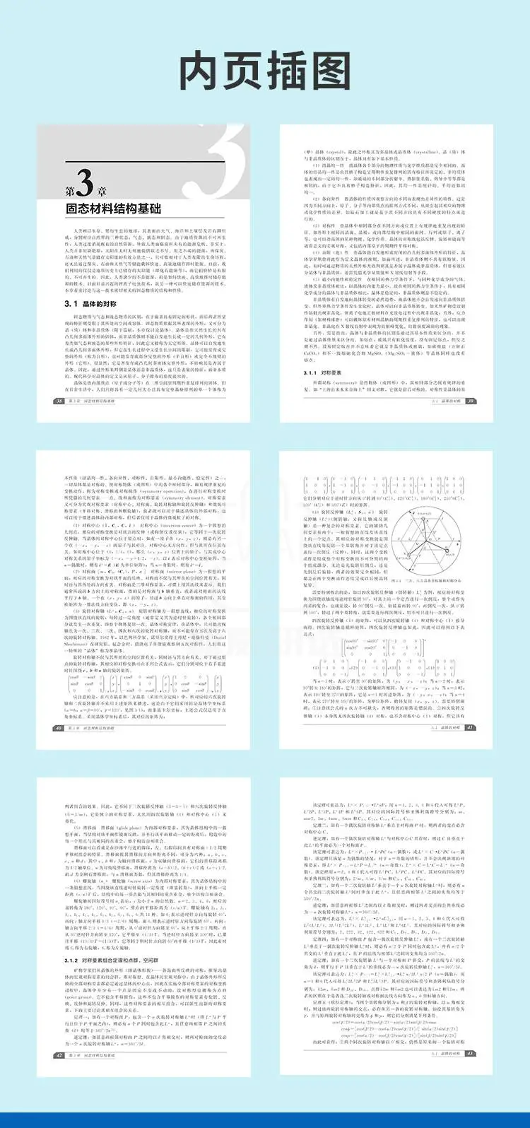 《固态电化学》的内页插图