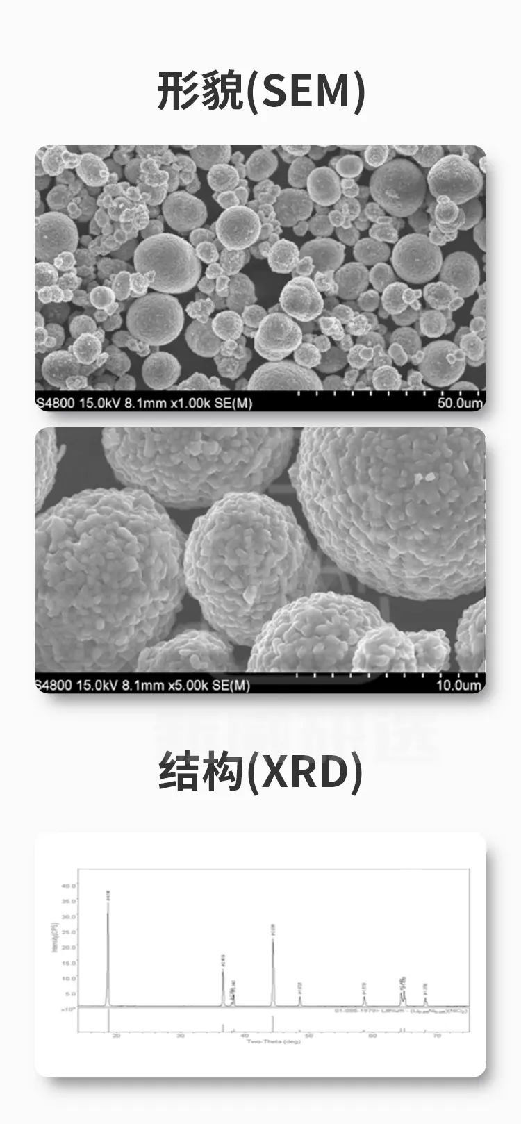 镍钴锰酸锂-多晶NCM811的电镜扫描照片