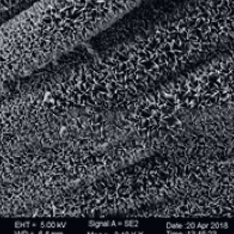 碳布负载钴-MOF纳米阵列