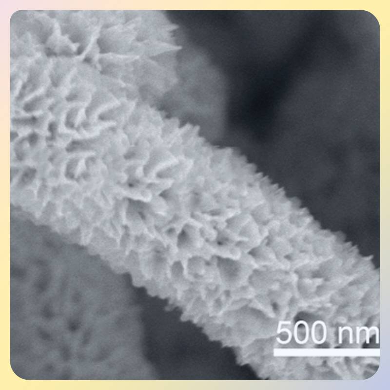 碳化钛/碳-硫化锡核壳阵列