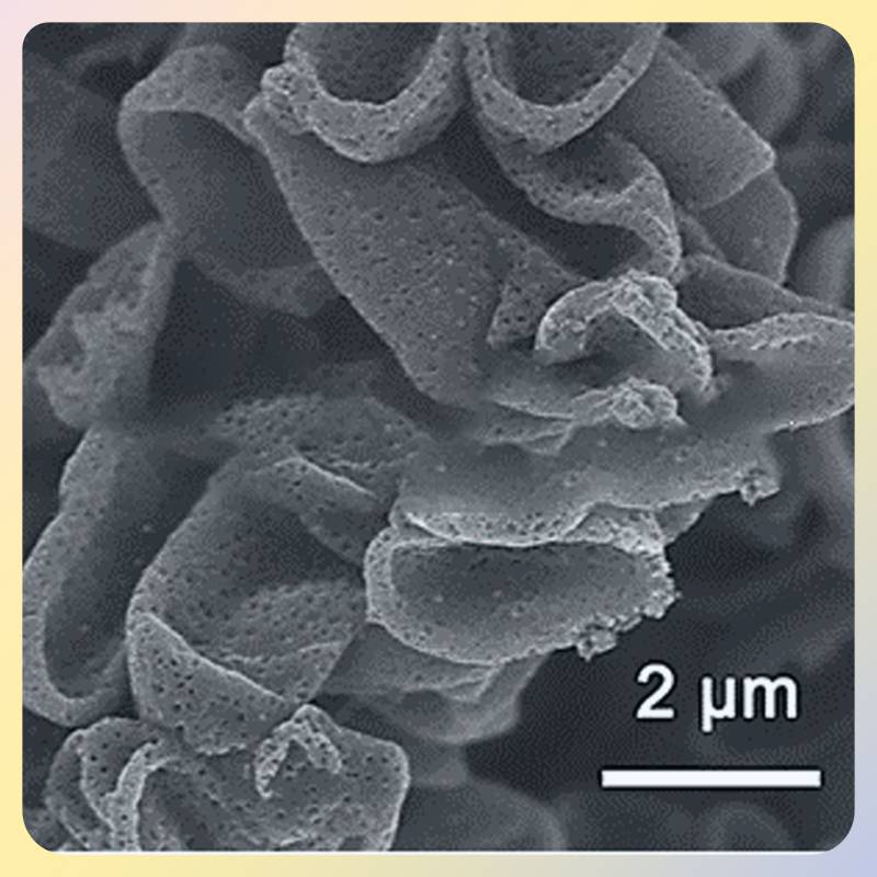微米空心碳/碳化铌复合材料