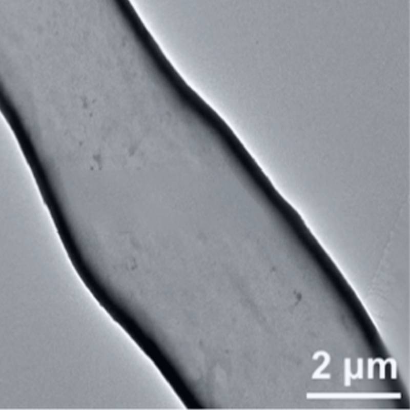 微米中空碳纤维