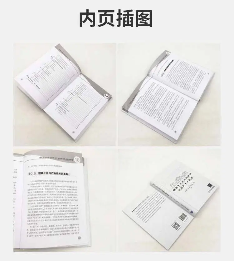 《锂离子电池正极材料规模化生产技术》商品详情图7
