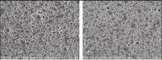 不同粒度分布正极极片SEM图